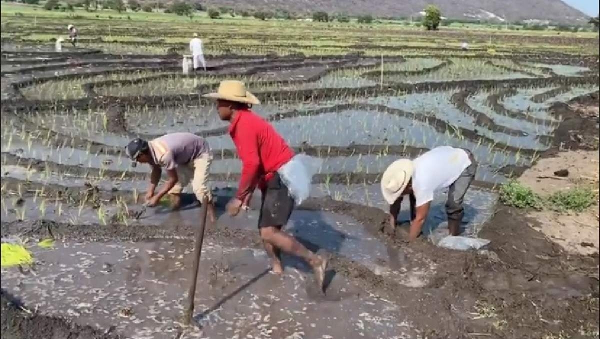 Nuevo gobierno de Tlaquiltenango deberá cubrir pagos faltantes