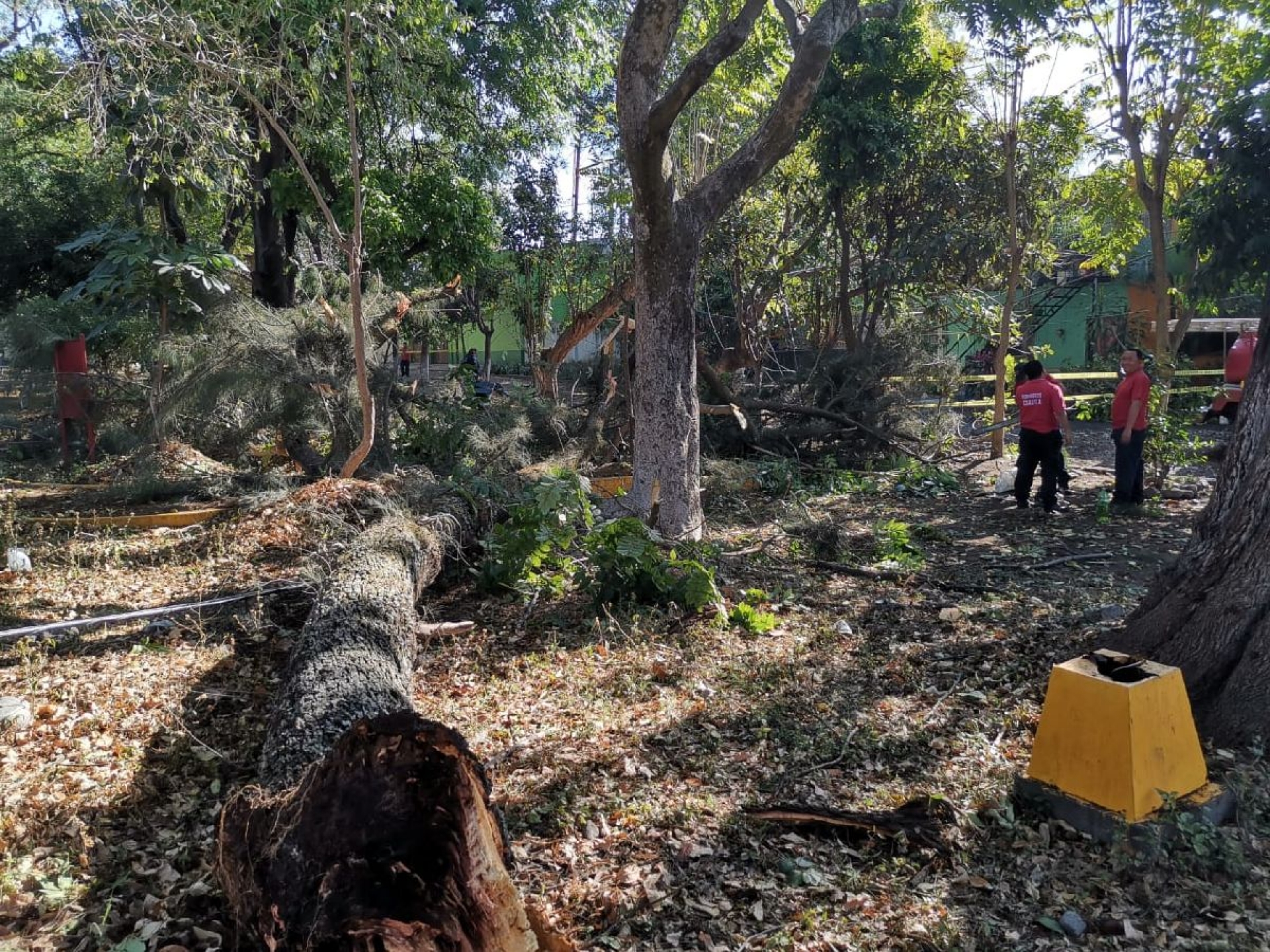 Lluvia y viento del martes causaron daños en Cuautla