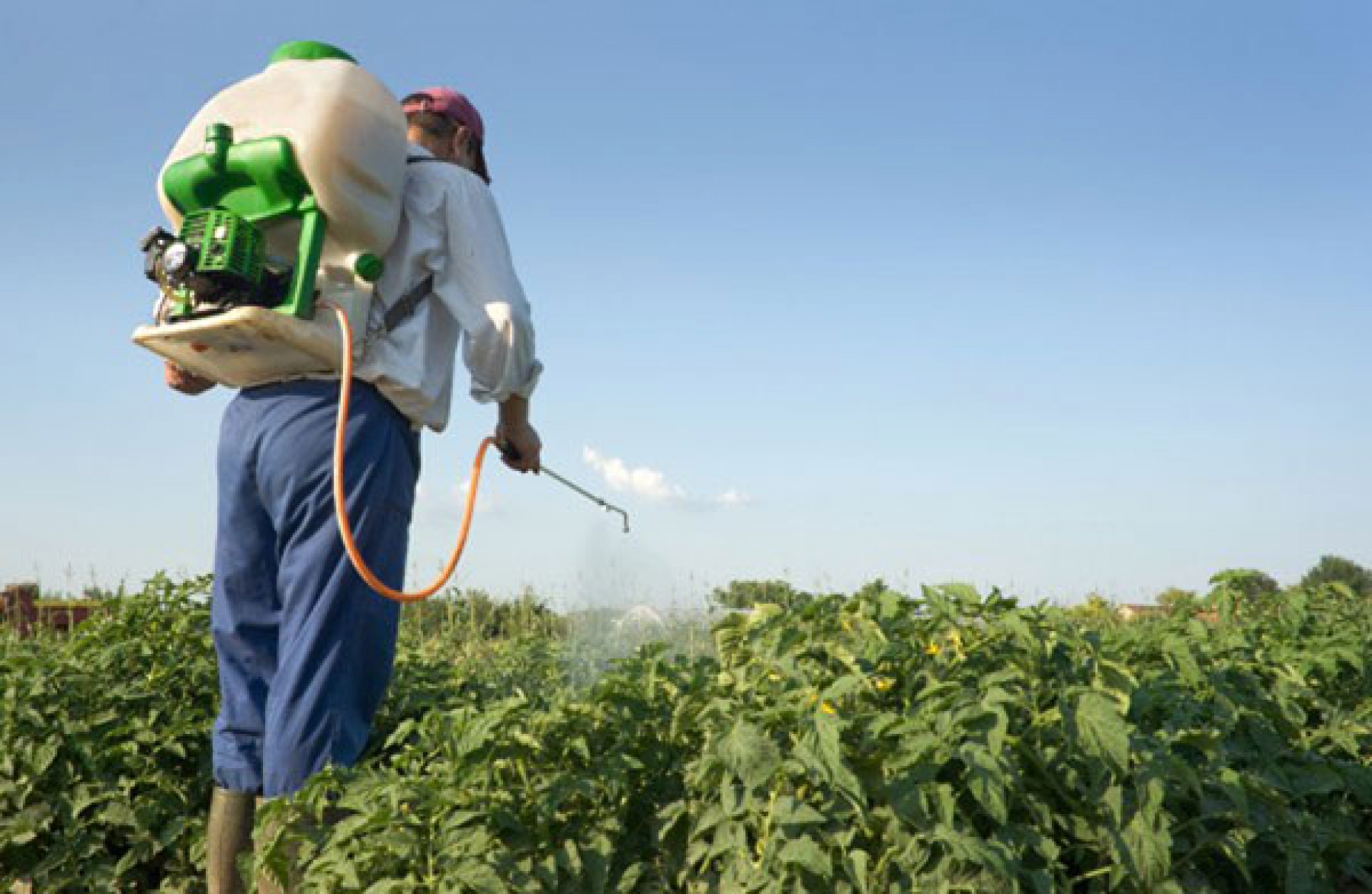 Investigan falta de entrega de apoyos a campesinos