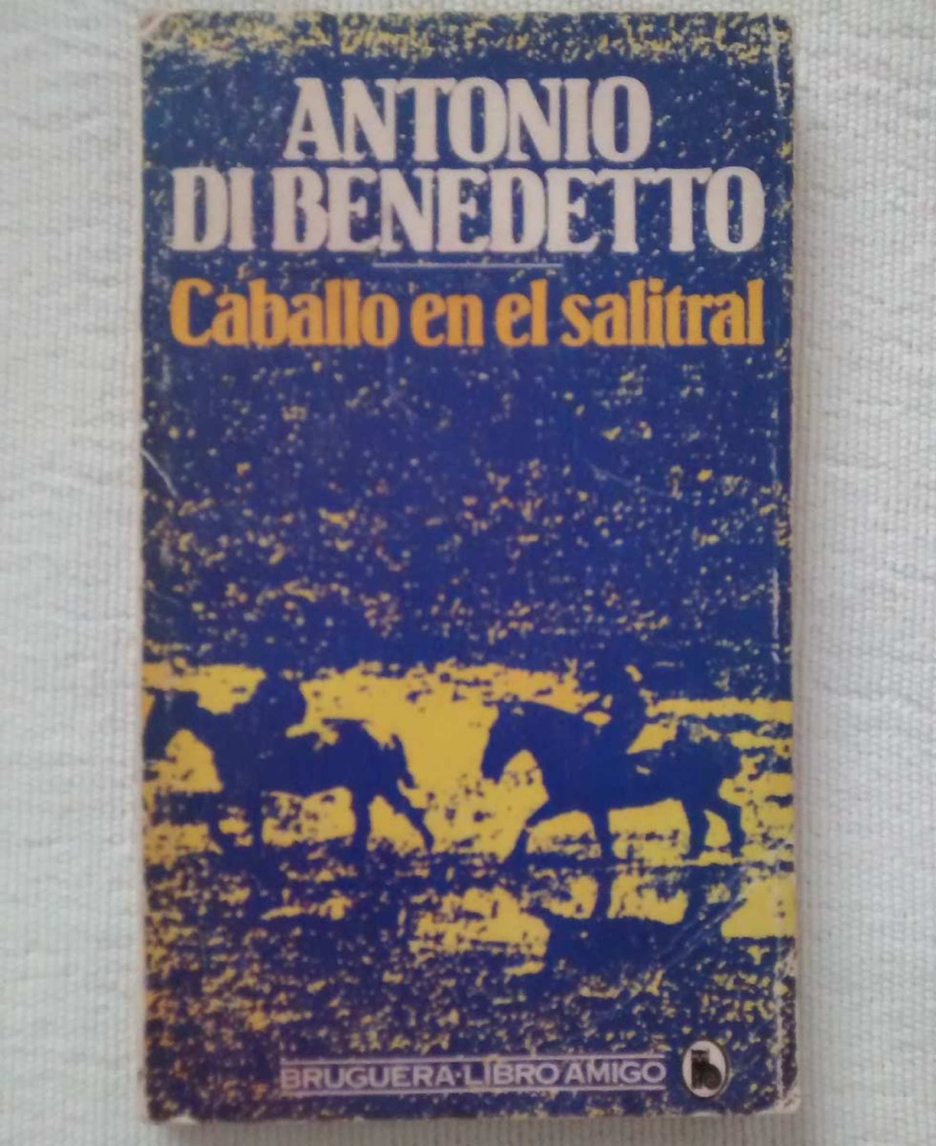 Caballo en el salitral