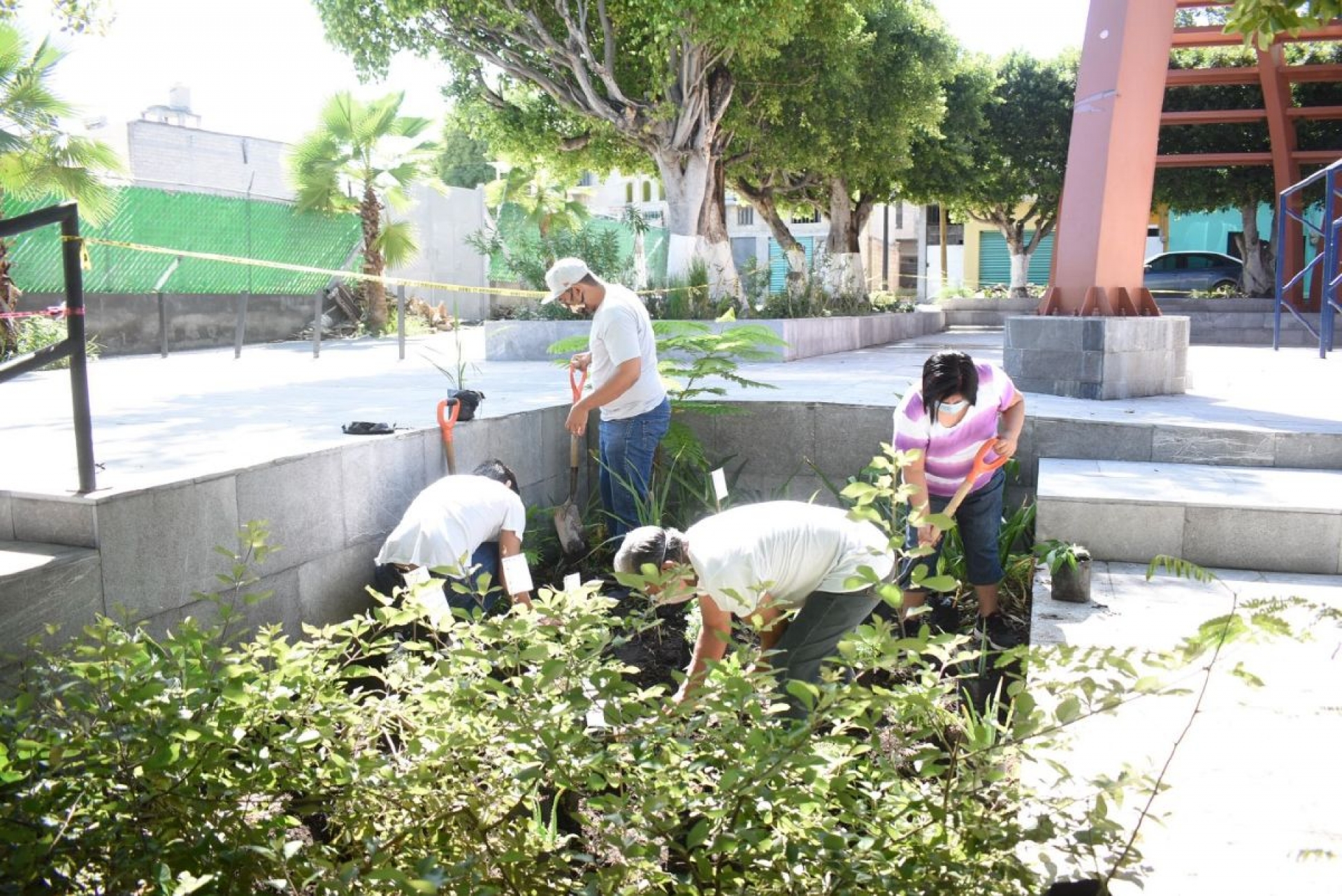 Buscan crear “jardineras comestibles” en Jojutla