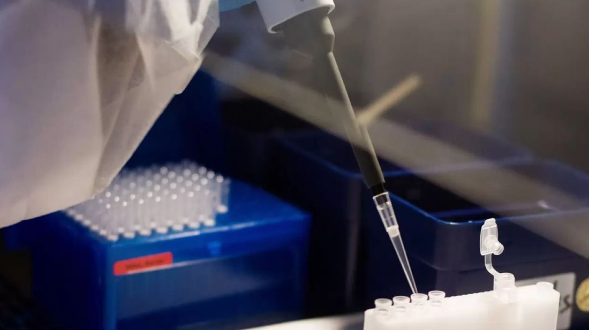 Vacuna de Sanofi contra el Covid-19, a la que México tendrá acceso prioritario, recibirá 2,100 mdd de EU