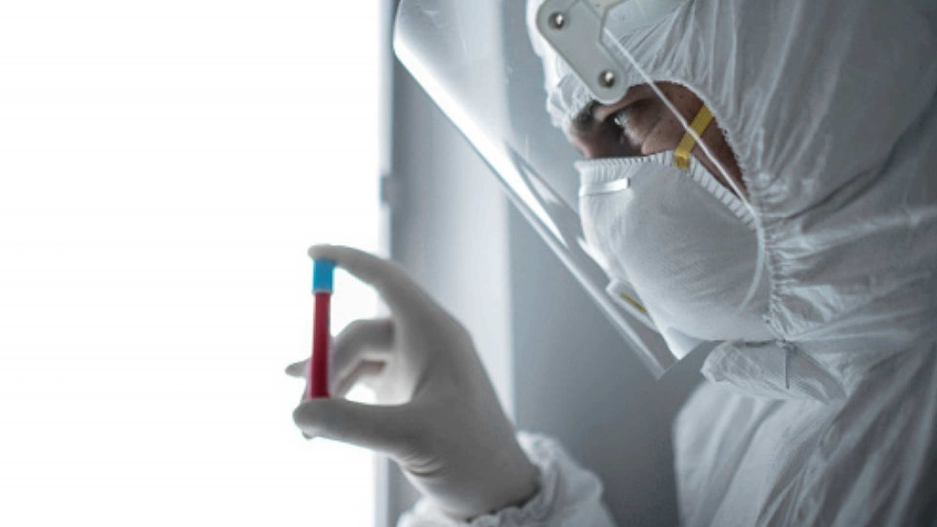 IPN desarrolla anticuerpos terapéuticos para tratar Covid-19