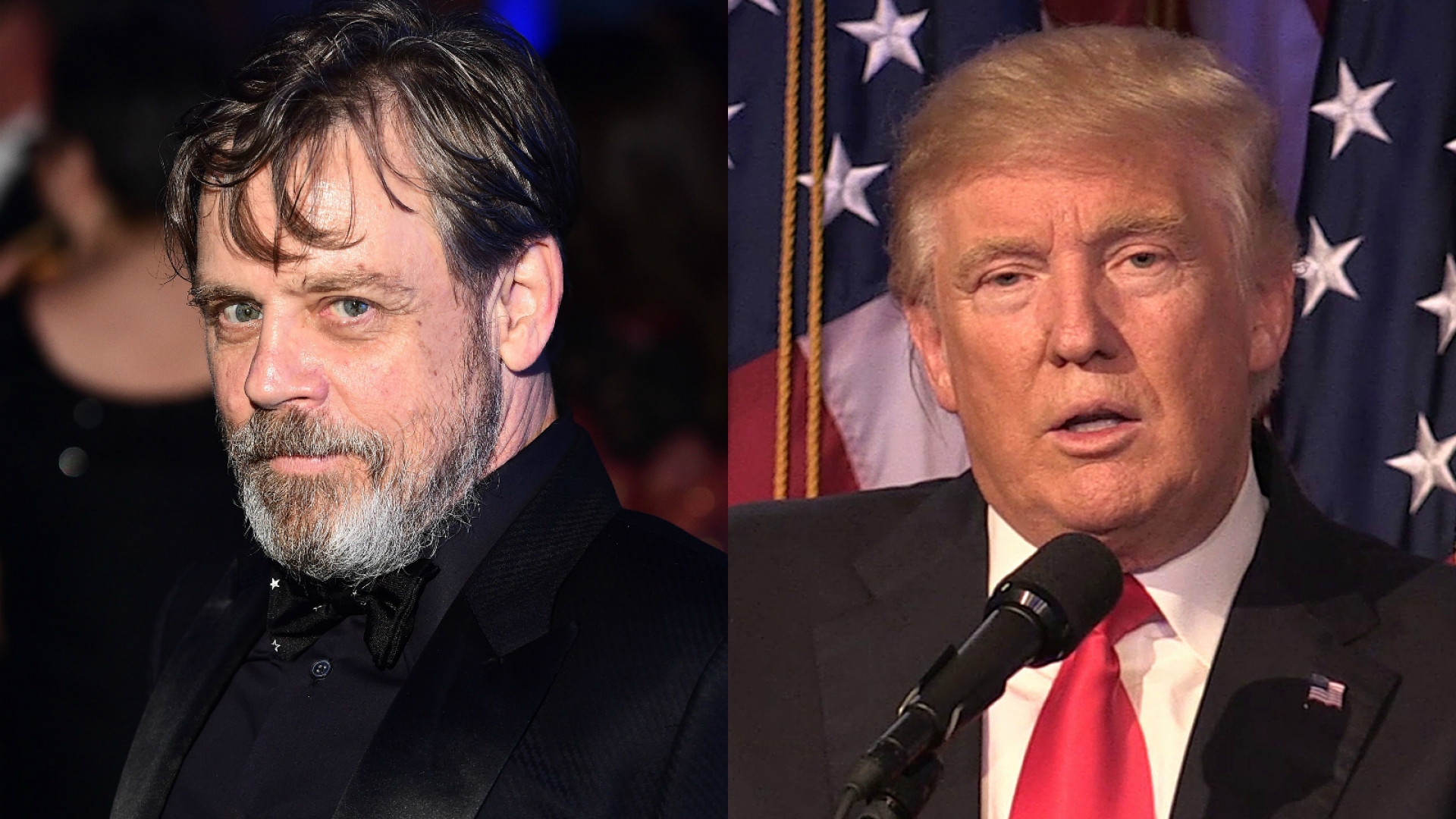 'Luke Skywalker': Ansío ver a Trump pidiendo a AMLO que pague por el muro
