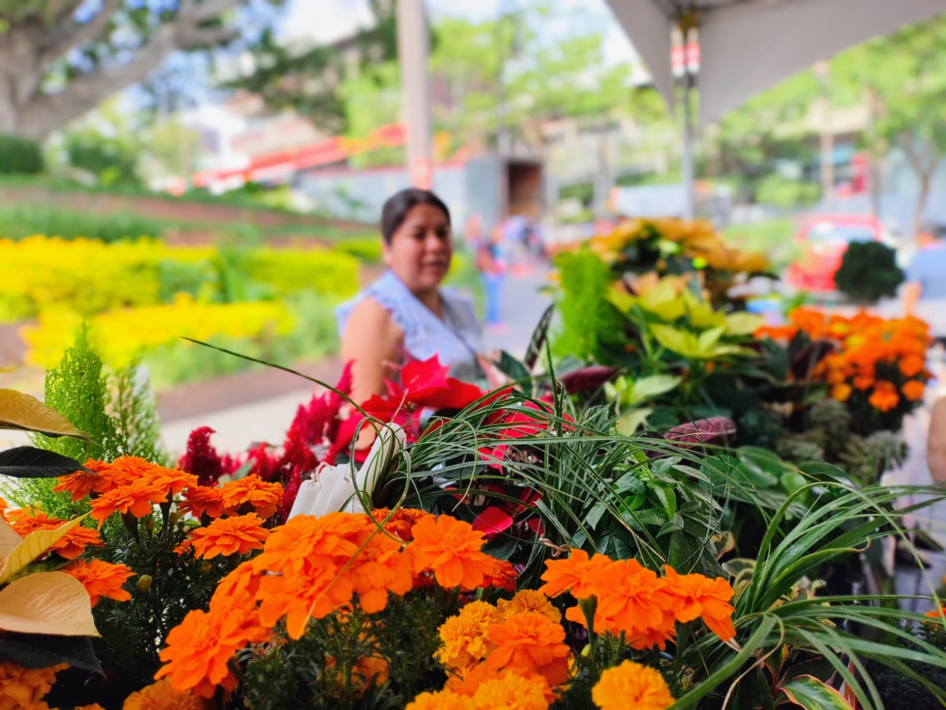 Productores agropecuarios participan en la expo venta del 'Festival Miquixtli 2024'