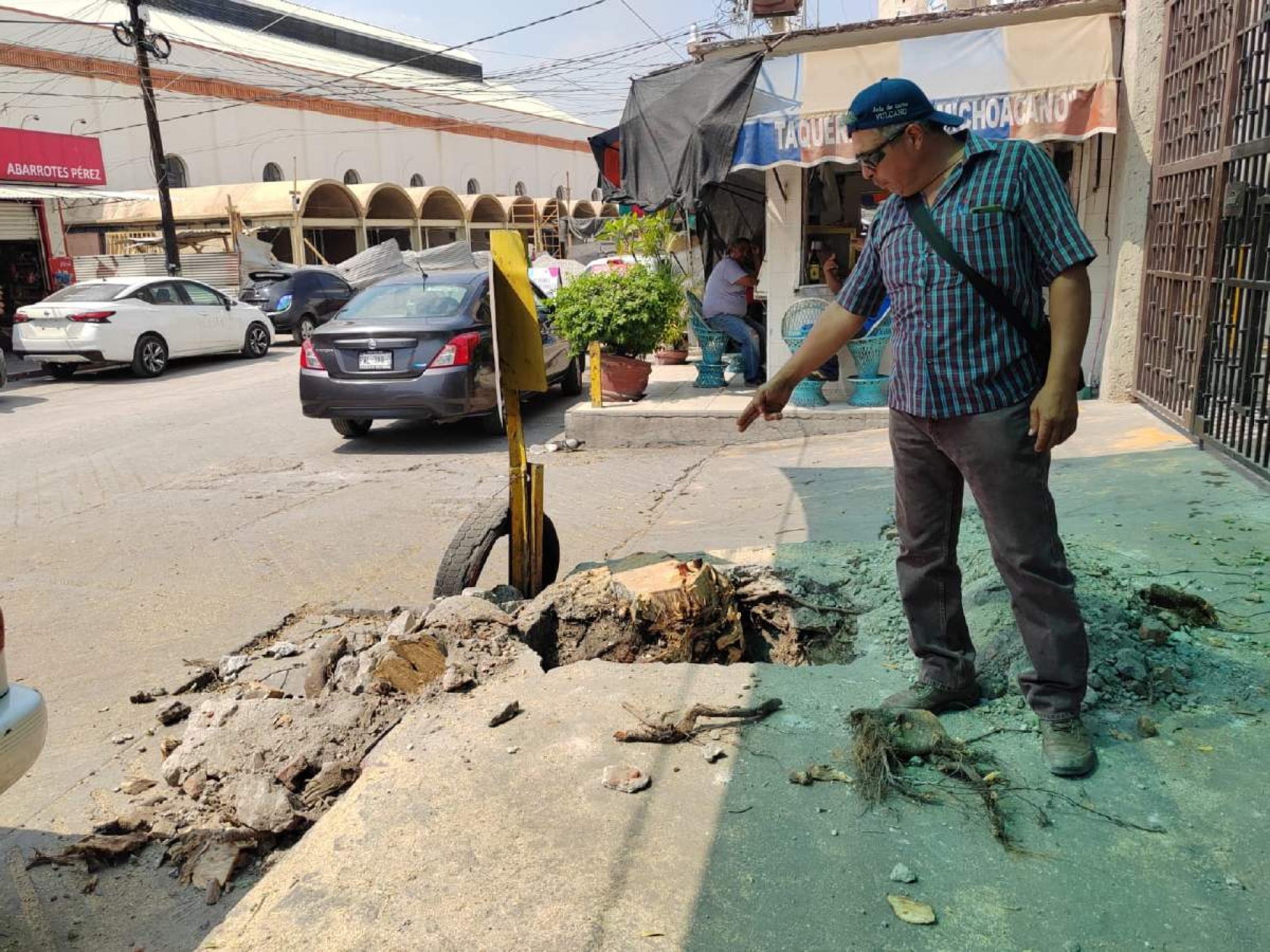 Tiran árboles que estaban a un costado de iglesia en Zacatepec