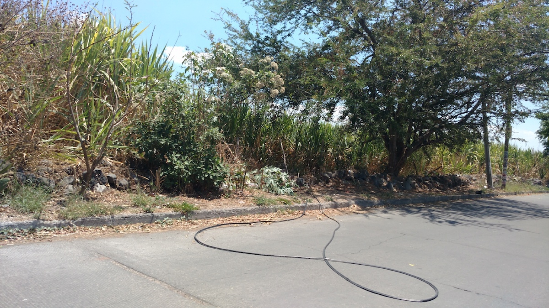 Sin freno, el robo de cable telefónico en la región de Cuautla