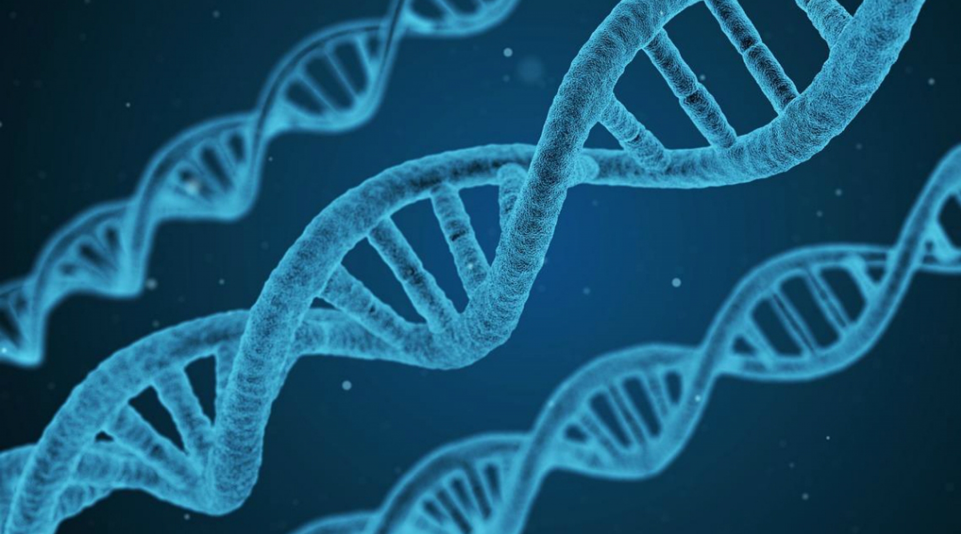 Descubren una nueva estructura escondida en el ADN humano
