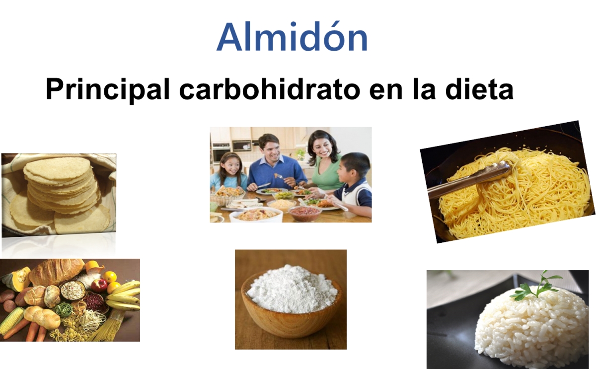 A todo se acostumbra el hombre menos a no comer… almidón