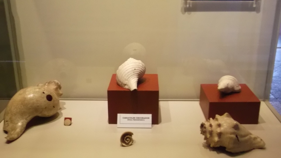 Caracoles decorados de la época prehispánica, pieza del mes del Museo Cuauhnáhuac