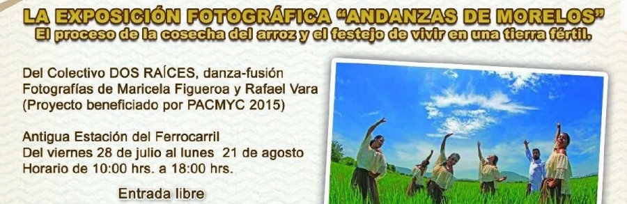 Por deficiencia en su promoción, poca asistencia a actividades culturales