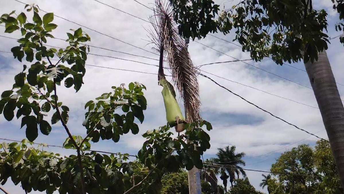 Alumbrado público de Zacatepec disminuye por lluvias
