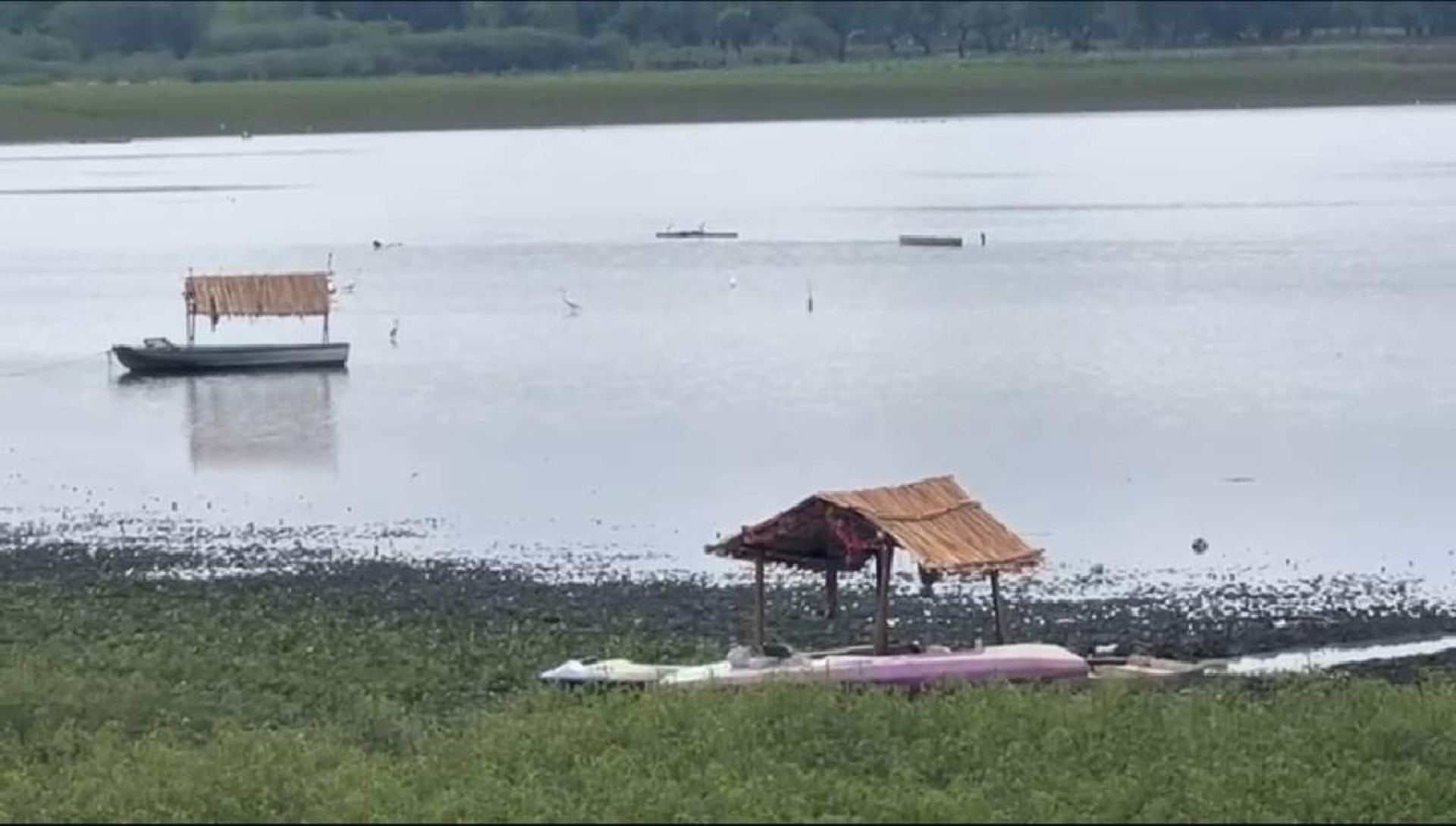 Recuperación de la laguna favorece al turismo en Coatetelco