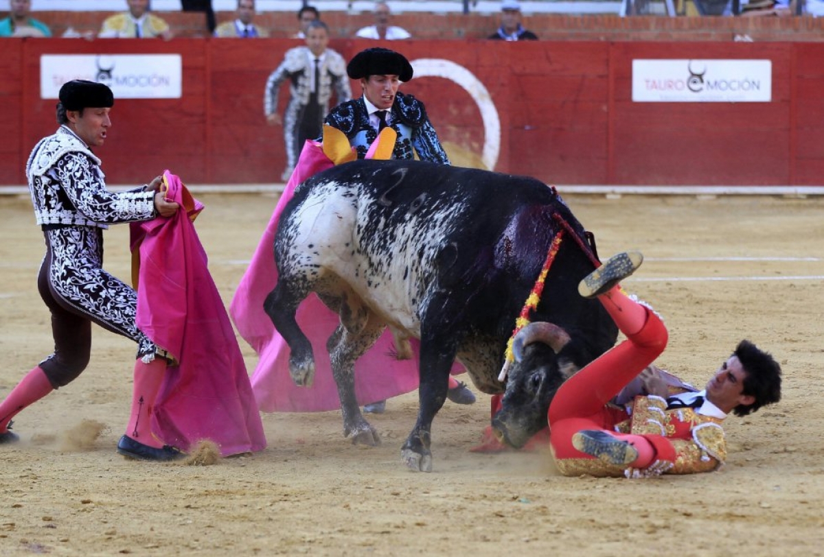 Tras sufrir cornada, muere el torero español Víctor Barrio