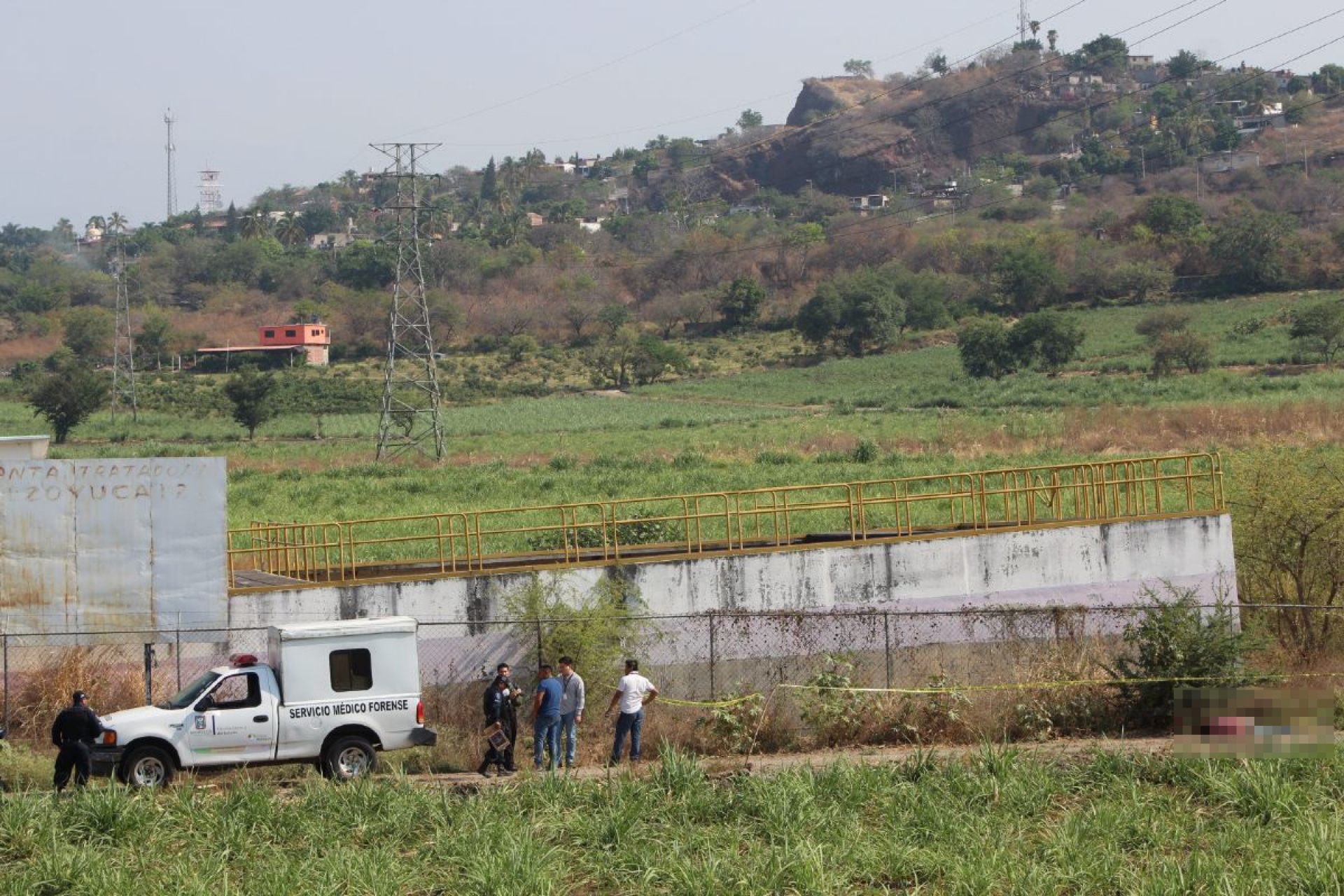 Fue asesinado a balazos en un campo de cultivo