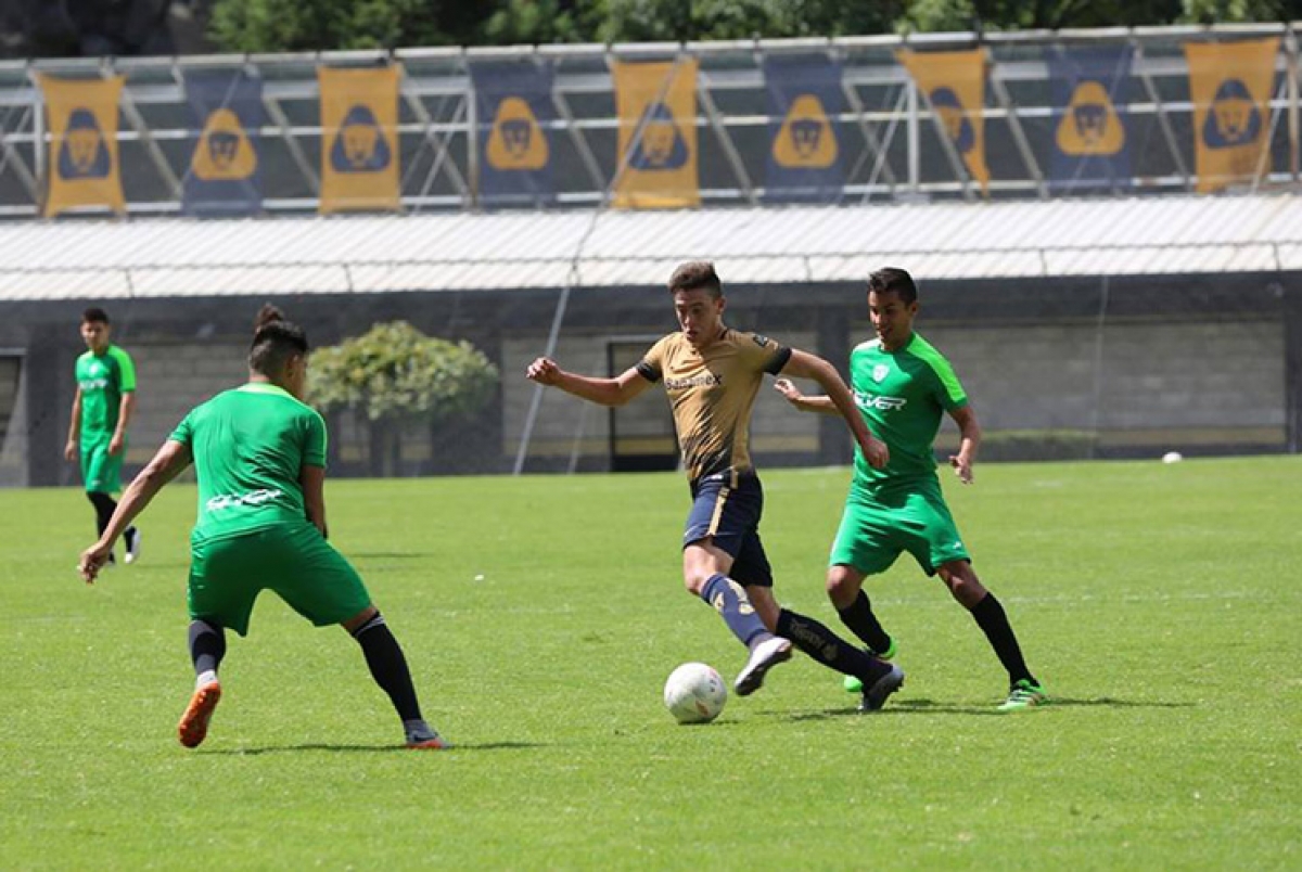 Pumas Premier saca las garras