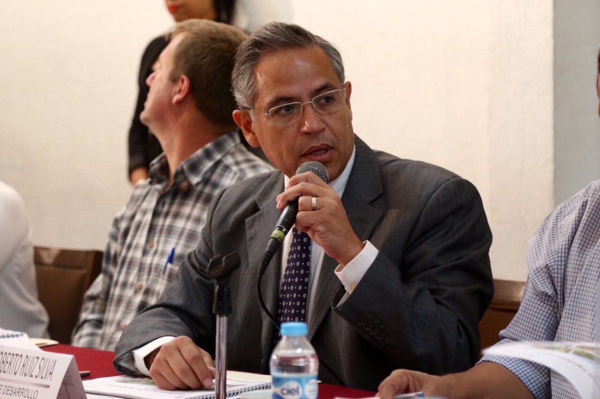 Producción de aguacate, dañada por el incendio: Ruiz Silva